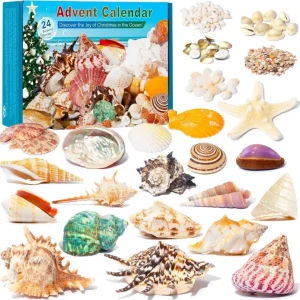 Adventskalender 2023 Kinder Muscheln Seesterne Weihnachten
