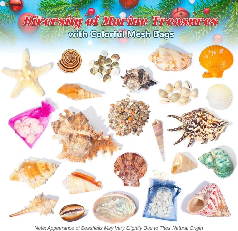 Adventskalender 2023 Kinder Muscheln Seesterne Weihnachten