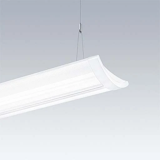 Thorn - Decken-/Wandleuchte LED-Hängeleuchte IQ SUSP S #96628952 3000K