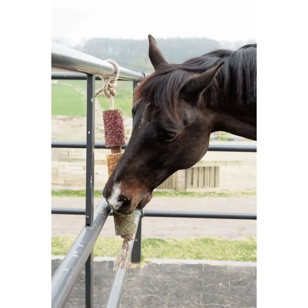 Grooming Deluxe Kentucky Relax Horse Toy Wooden De-Stress