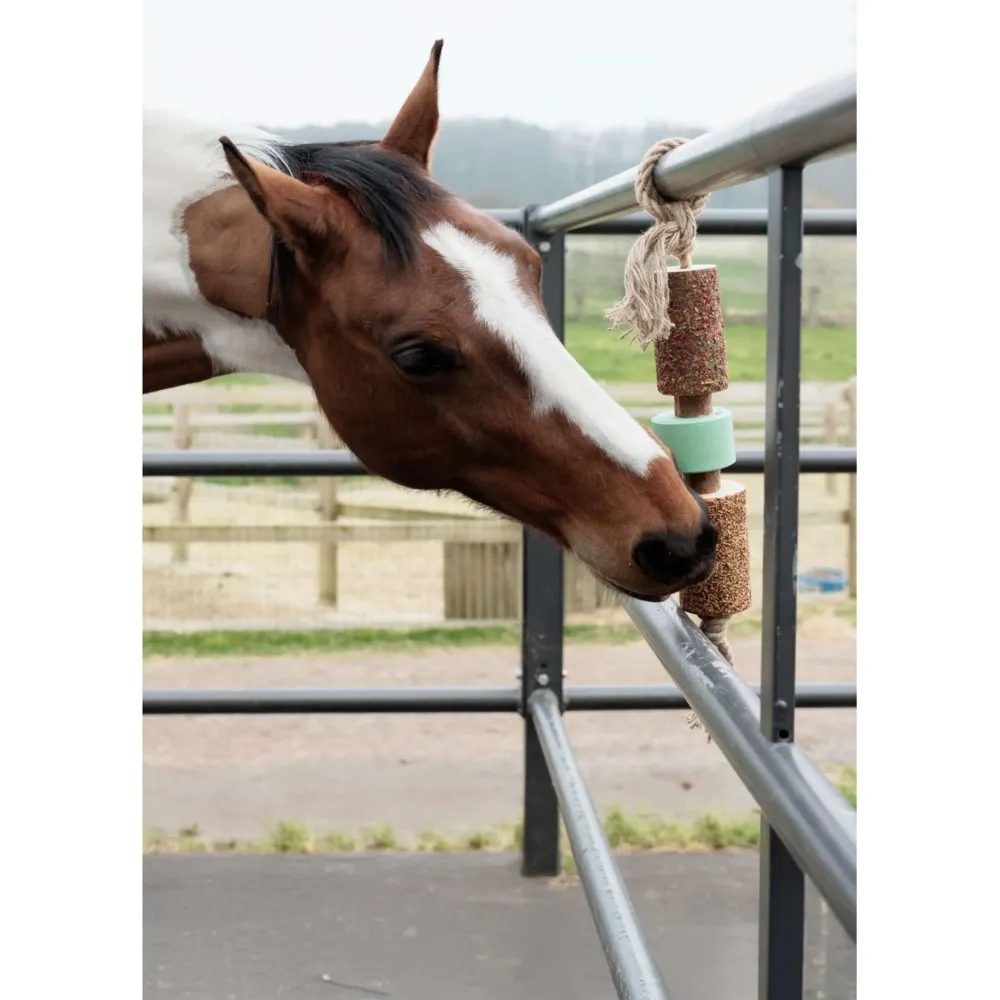Grooming Deluxe Kentucky Relax Horse Toy Wooden Airways Salt Lick