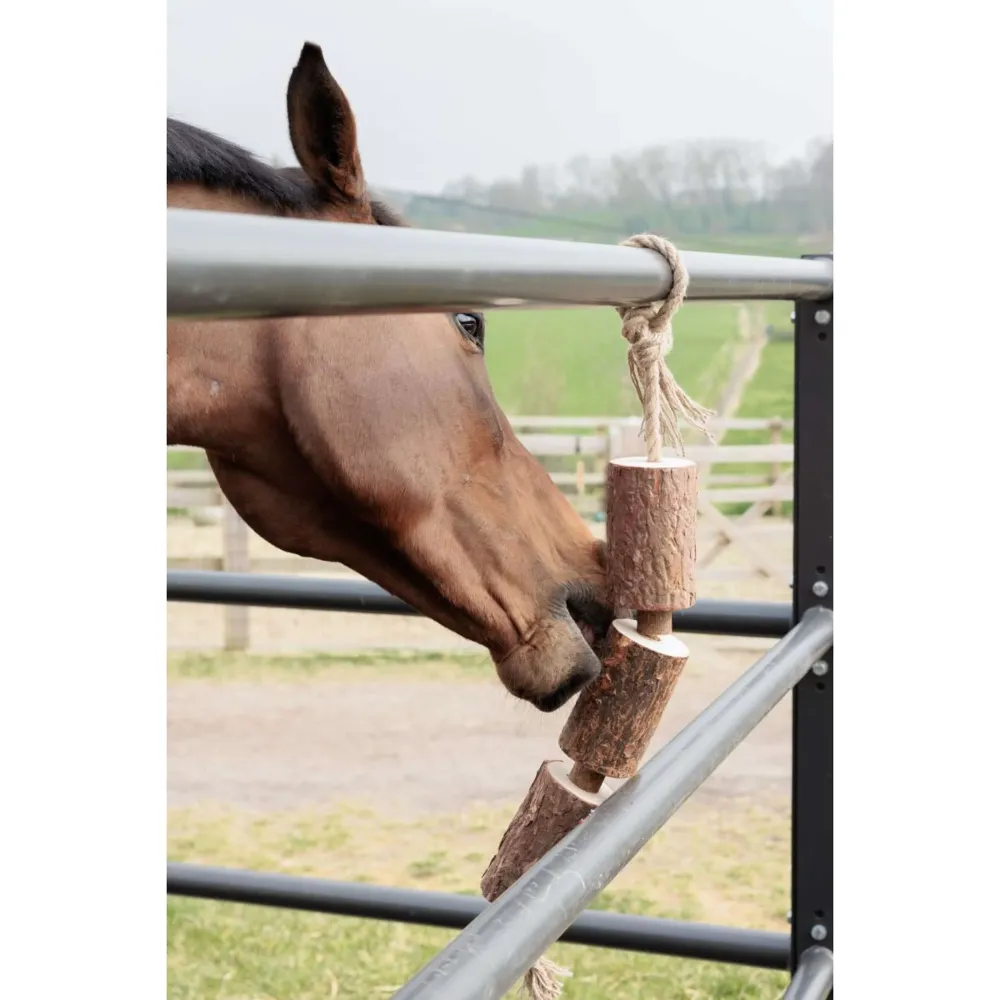 Grooming Deluxe Kentucky Relax Horse Toy Wooden Made Nature