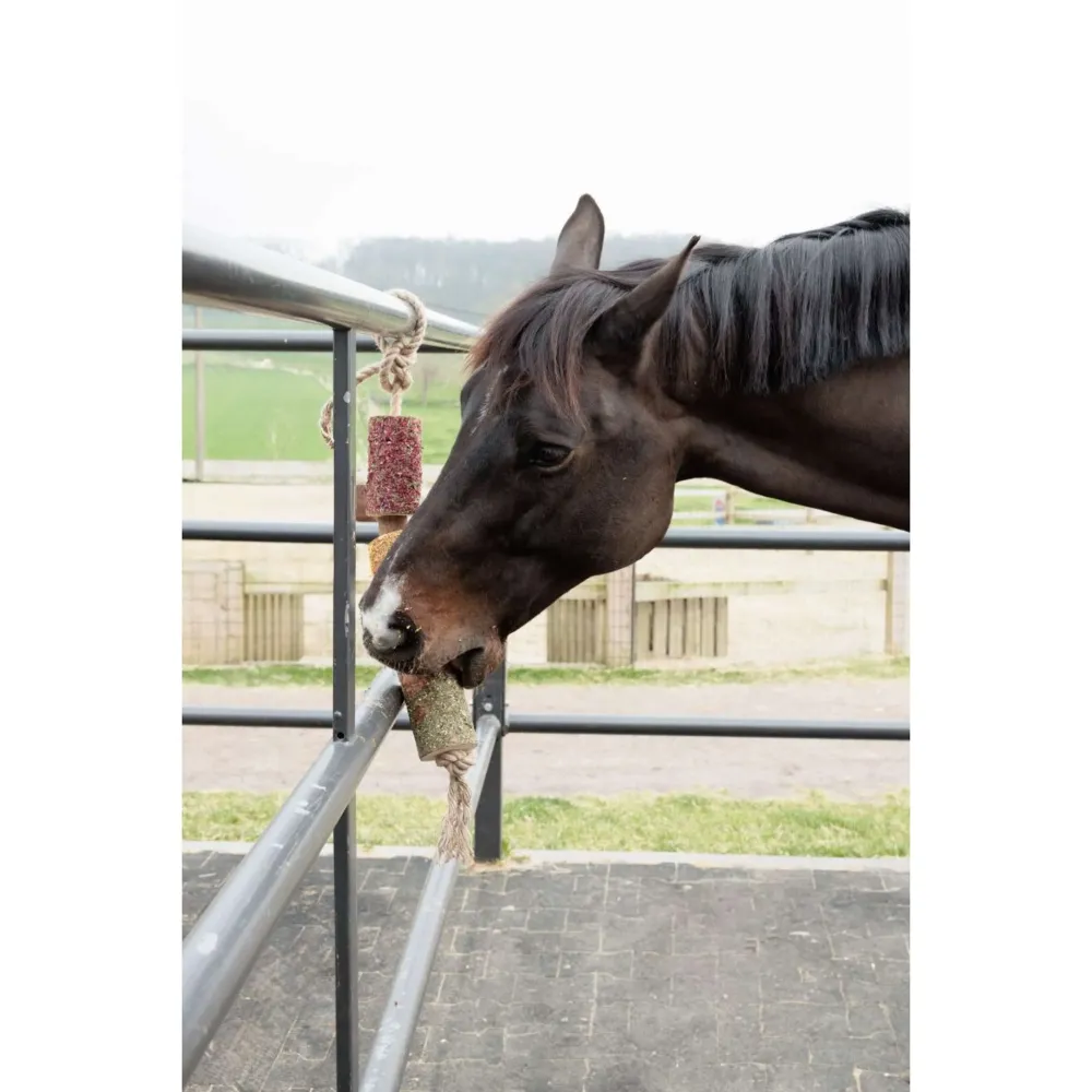 Grooming Deluxe Kentucky Relax Horse Toy Wooden De-Stress