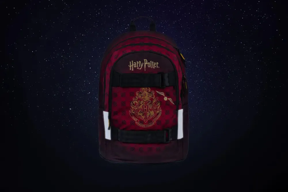 Baagl Skate Backpack Moon 25L