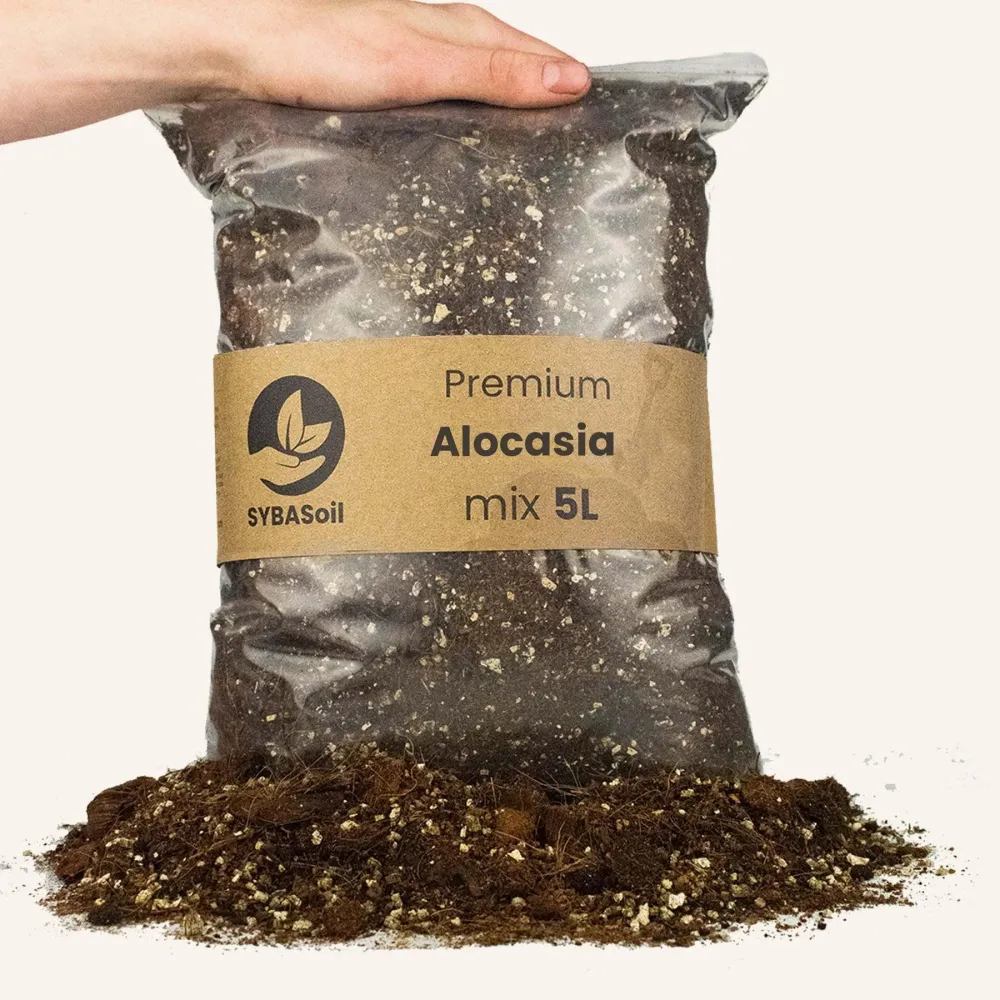 Alocasia-Blumenerde – 5 l