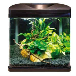 Amtra Lagune LED 30 Aquarium