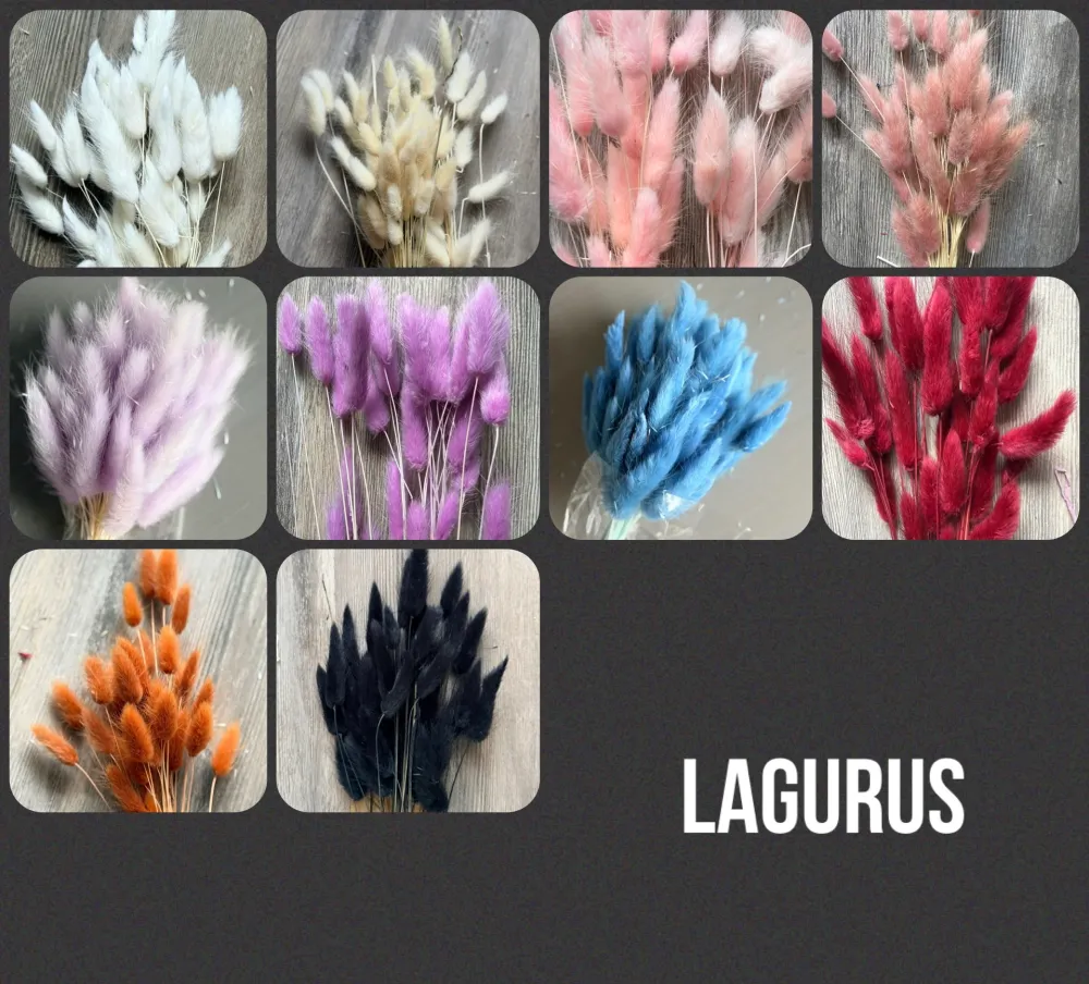 Anker Trockenblumen Seil | Personalisiert | Maritim Deko