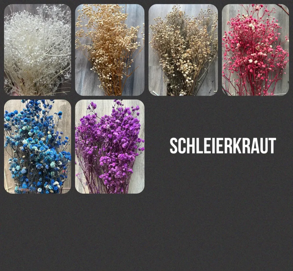 Anker Trockenblumen Seil | Personalisiert | Maritim Deko