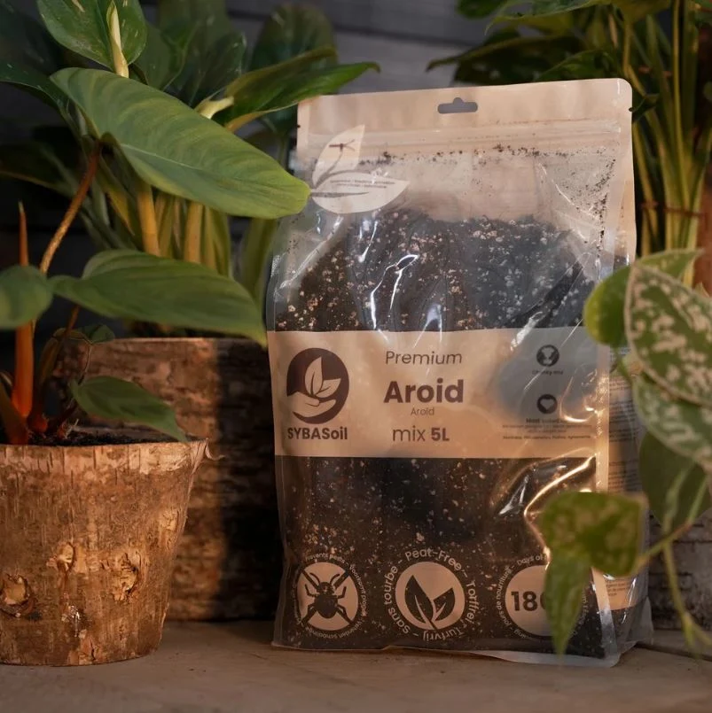AROID MIX 5L | Substrat für Monstera, Philodendron, Pothos, Aglaonema & mehr