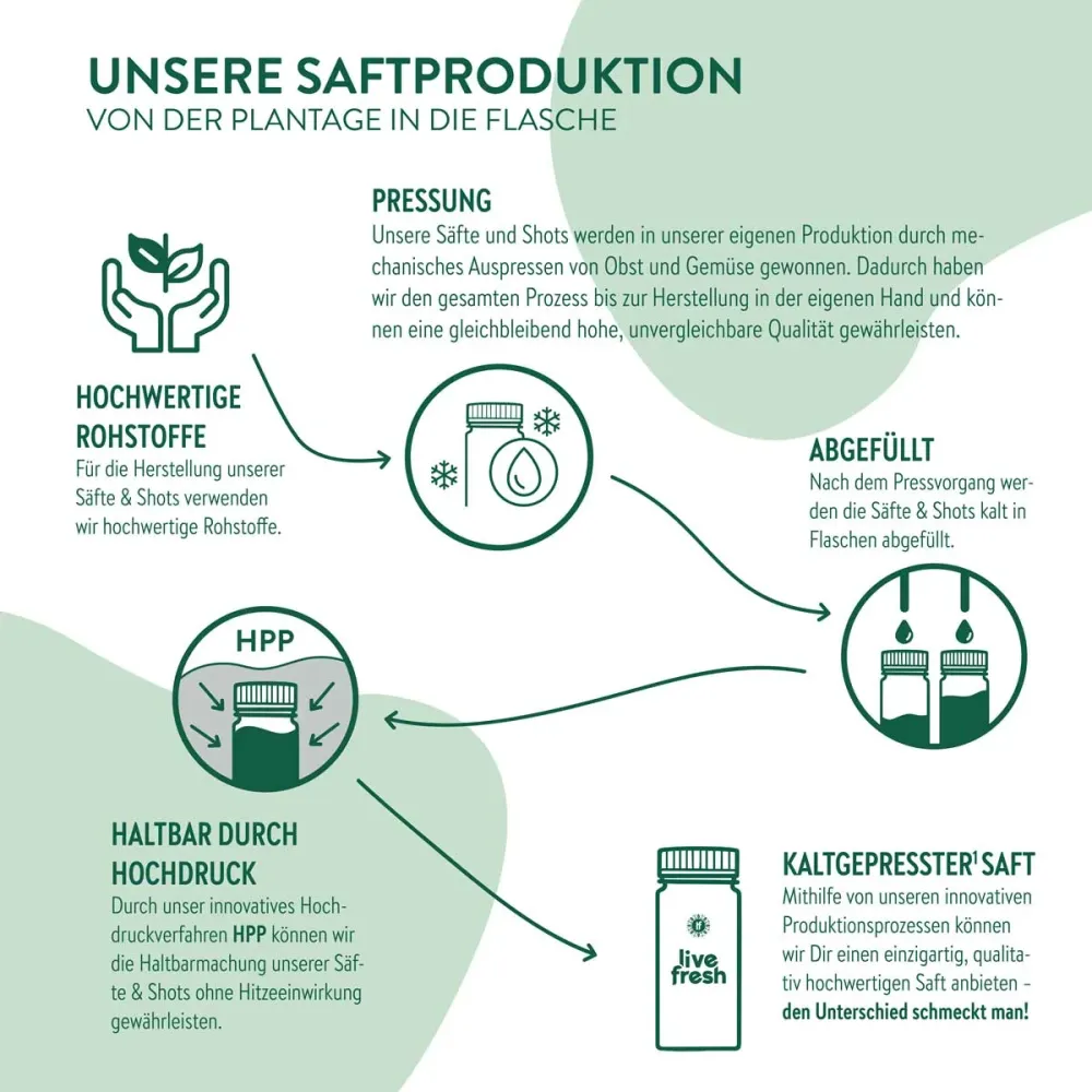 BIO Sellerie Kur – 4 Wochen