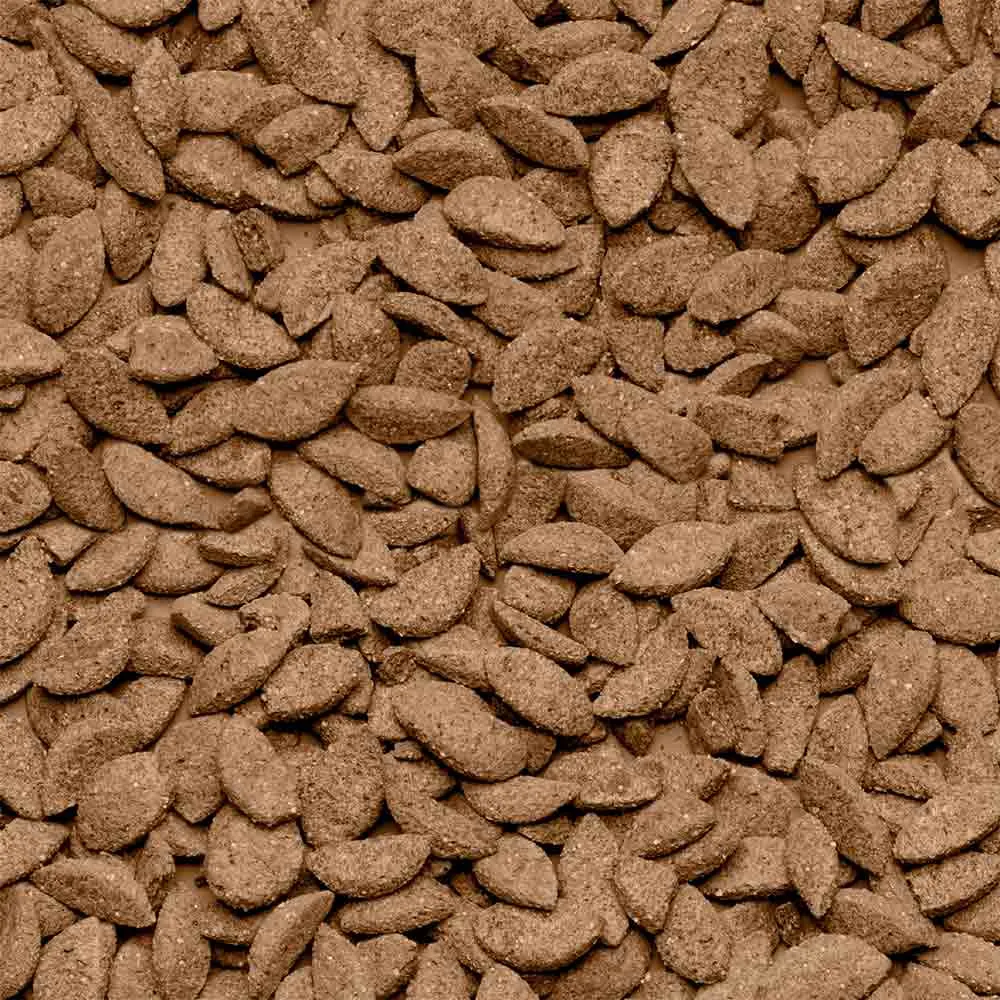 Care+ BEAPHAR ballaststoff- und proteinreiches Futter für Chinchillas