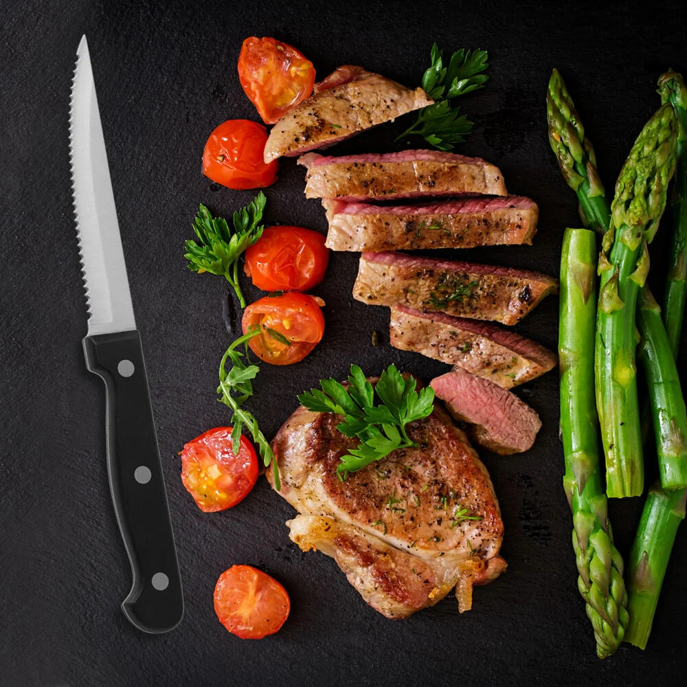 Comas Steakmesser-Set Eco 12-tlg., Fleischmesser mit Satin-Finish, Edelstahl 3CR13, Schwarz, 3004