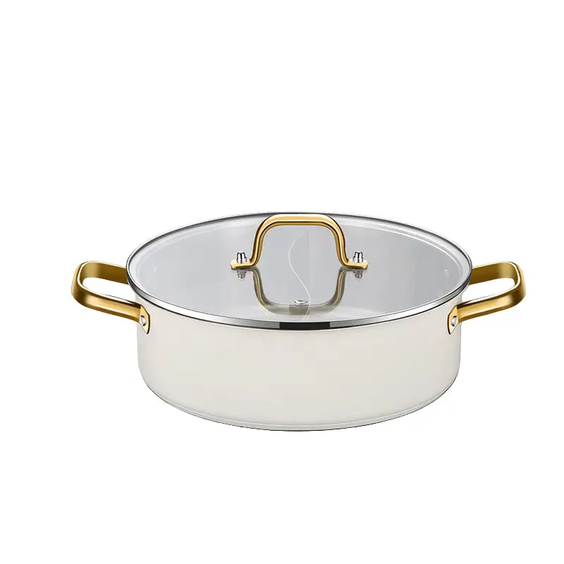 Edelstahltopf mit zwei Glasdeckeln, 4,1–6 l