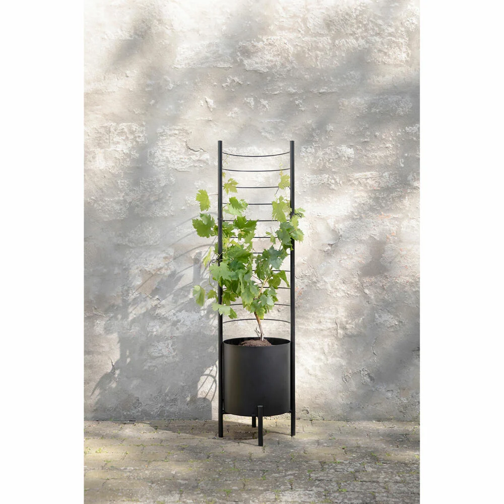 Eva Solo Spalier für Übertopf Simply Grow, Gewächsleiter, Stahl, Schwarz, 145 cm, 741010018