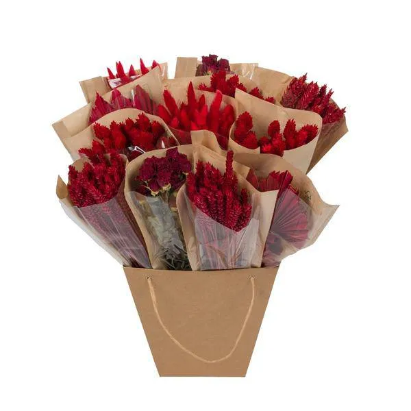 Getrocknete Blumen – Strauß Mono Mix Rot – Handgebunden – ca. 50cm – Nachhaltige Trockenblumen Deko für Vase, Tisch & Gesc...