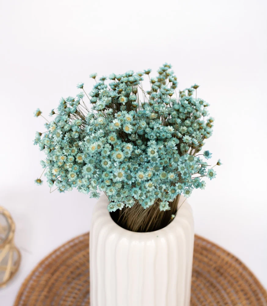 Getrocknete Glixia blau, Bund 80g