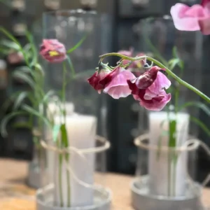 Glaszylinder für Kerzenhalter von Storefactory