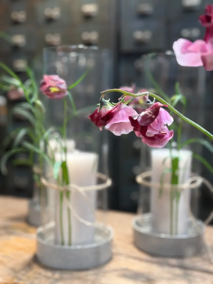 Glaszylinder für Kerzenhalter von Storefactory