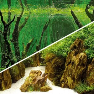 Hobby Fotorückwand Canyon / Woodland XL Rückwand 120x50cm Aquarium TOP