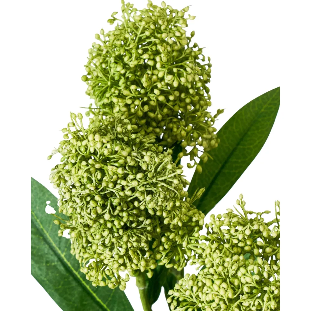 House Doctor Skimmia Kunstblume