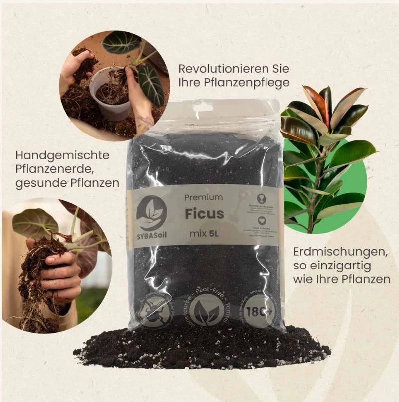 HOYA MIX 5L | Substrat für Hoyas