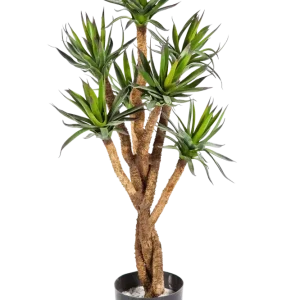Künstliche Agave - Prince | 70 cm