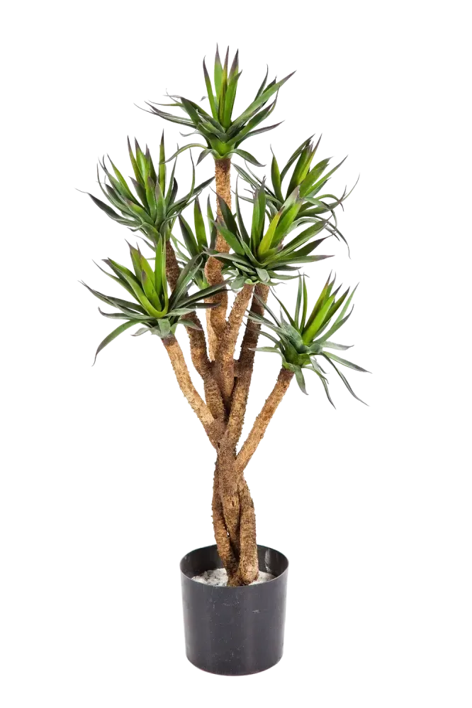 Künstliche Agave - Prince | 70 cm