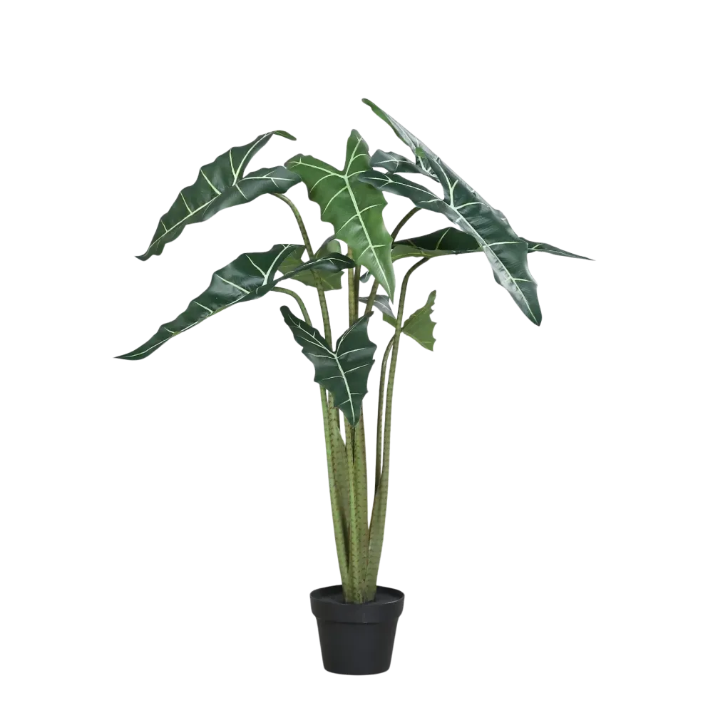 Künstliche Alocasia - Marco | 100 cm