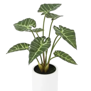 Künstliche Alocasia - Svannah | 59 cm