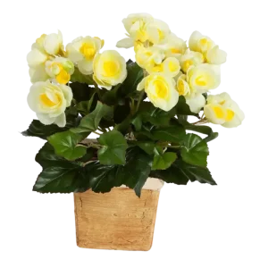 Künstliche Begonie - Steckpflanze - Lara | 20 cm