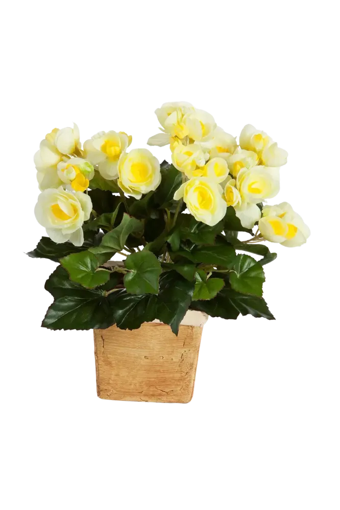 Künstliche Begonie - Steckpflanze - Lara | 20 cm
