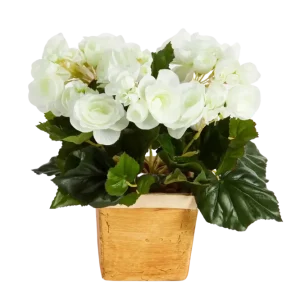Künstliche Begonie - Steckpflanze - Tina | 20 cm