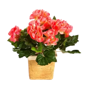 Künstliche Begonie - Steckpflanze - Tom | 20 cm