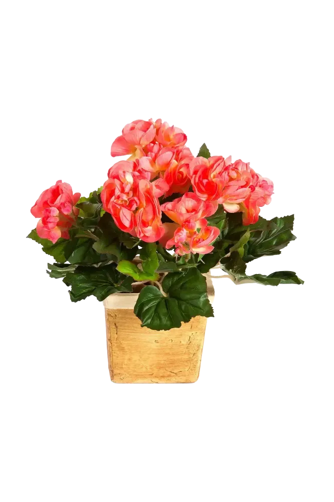 Künstliche Begonie - Steckpflanze - Tom | 20 cm