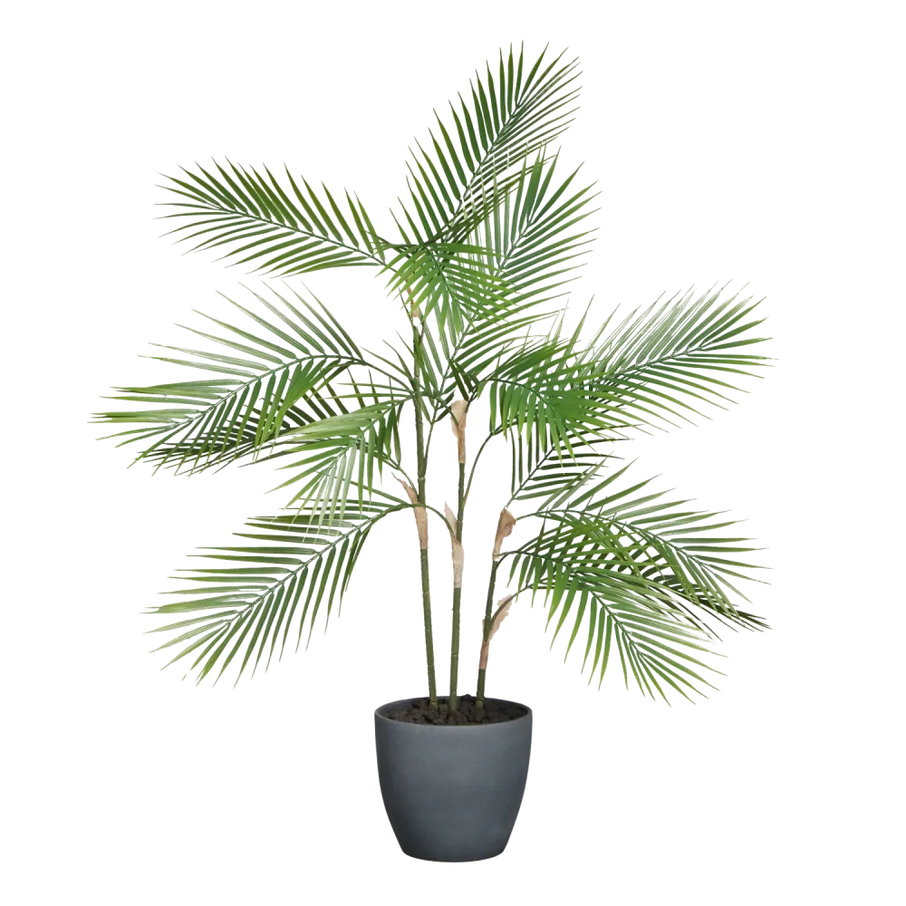 Künstliche Bergpalme - Nolte | 100 cm