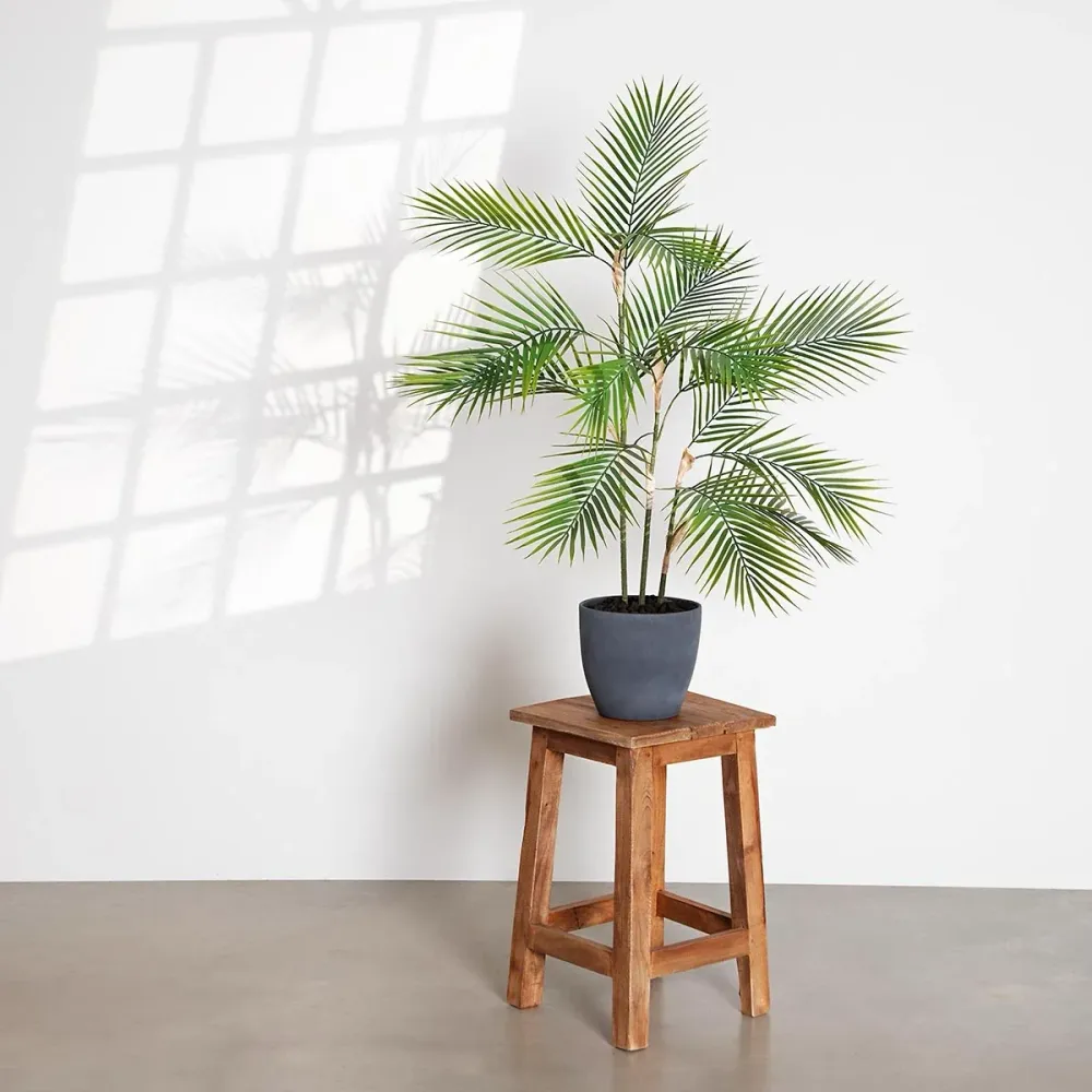 Künstliche Bergpalme - Nolte | 100 cm