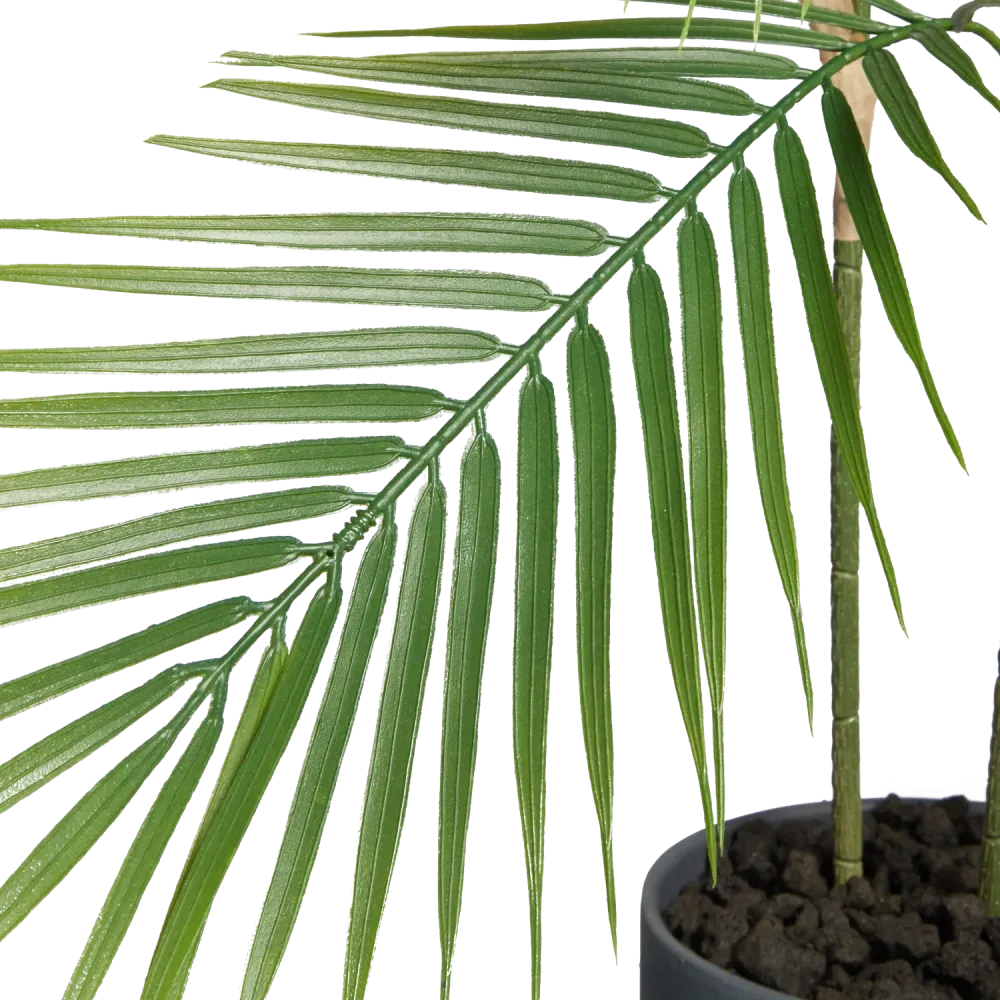 Künstliche Bergpalme - Nolte | 100 cm