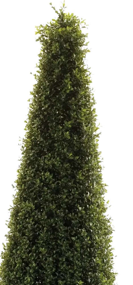 Künstliche Buchsbaumpyramide - Lucy | 135 cm