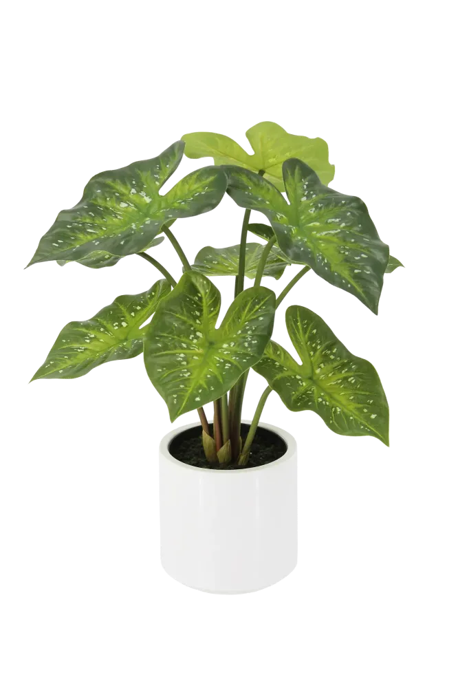 Künstliche Caladium - Tiara | 60 cm