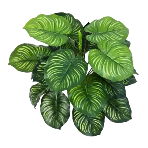 Künstliche Calathea - Clara | 45 cm