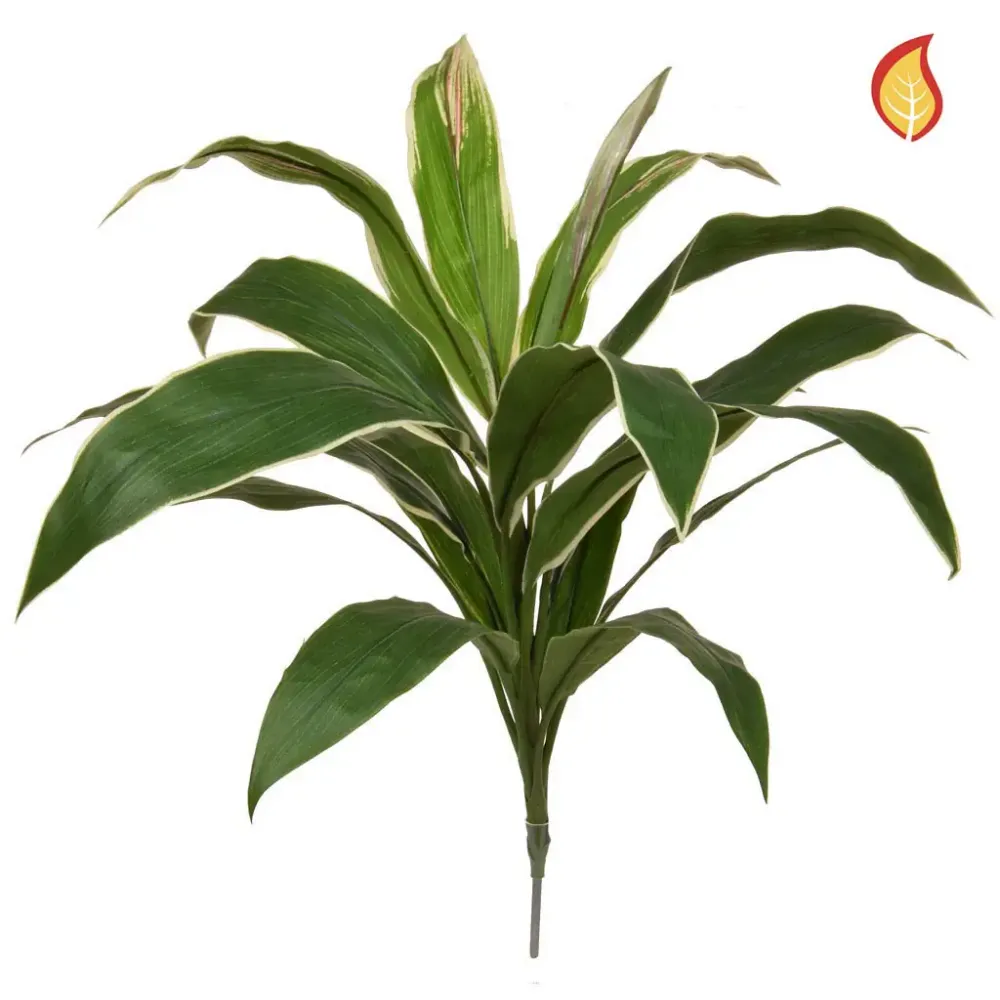 Künstliche Cordyline - Berta | 62 cm