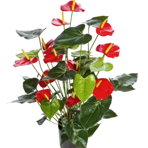 Künstliche Flamingoblume - Caspar | 78 cm