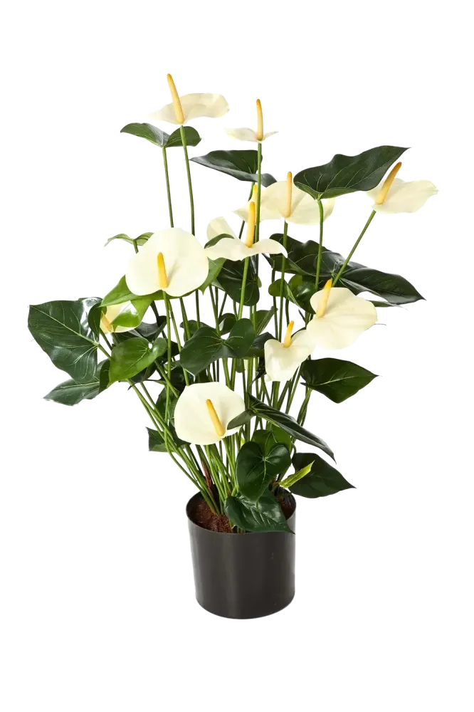 Künstliche Flamingoblume - Zenta | 78 cm