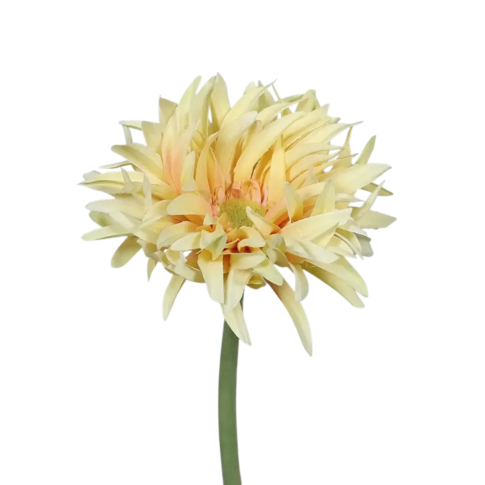 Künstliche Gerbera gefranzt - Adam | 57 cm