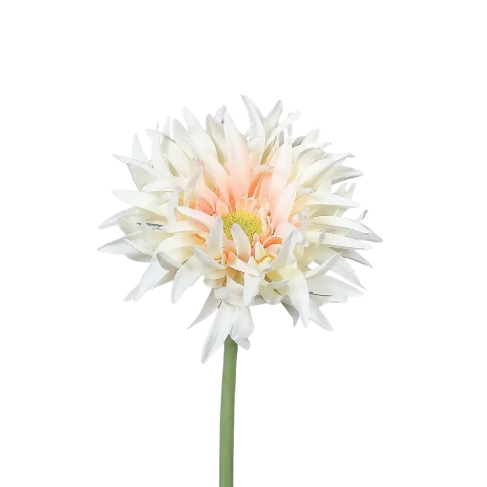 Künstliche Gerbera gefranzt - Hajo | 57 cm