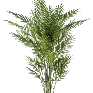 Künstliche Goldfruchtpalme - Eva | 170 cm