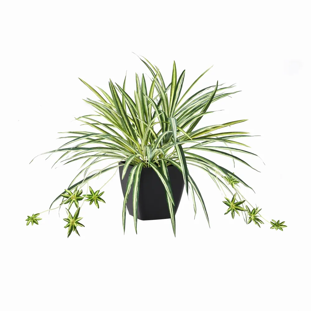 Künstliche Grünlilie – Liora | 50 cm