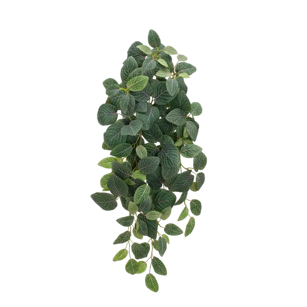 Künstliche Hänge-Fittonia - Tamara | 70 cm