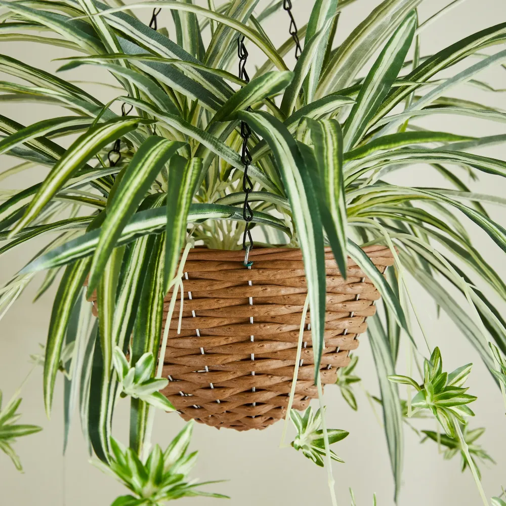 Künstliche Hänge-Grünlilie – Aurelio | 60 cm