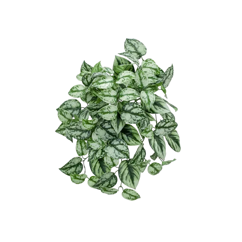 Künstliche Hänge-Scindapsus - Tammi | 40 cm